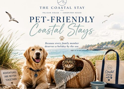The Coastal Stay Guide to Pet-Friendly Bournemouth
